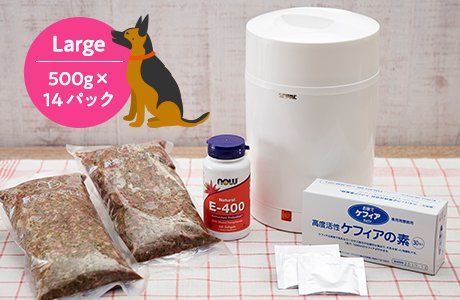 写真：スターターセットラージ