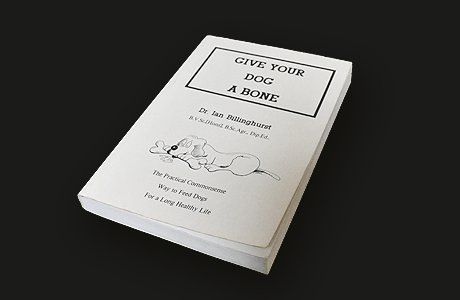 写真：書籍『Give your dog a bone（犬に骨を与えましょう）』