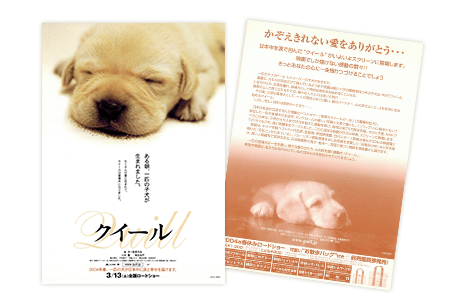 写真：盲導犬クイールのチラシ